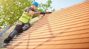 Best Tile Roofing Installation  in Montrose, MI