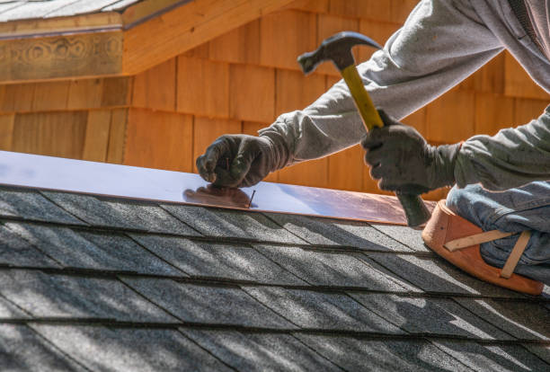 Best Roof Coating and Sealing  in Montrose, MI