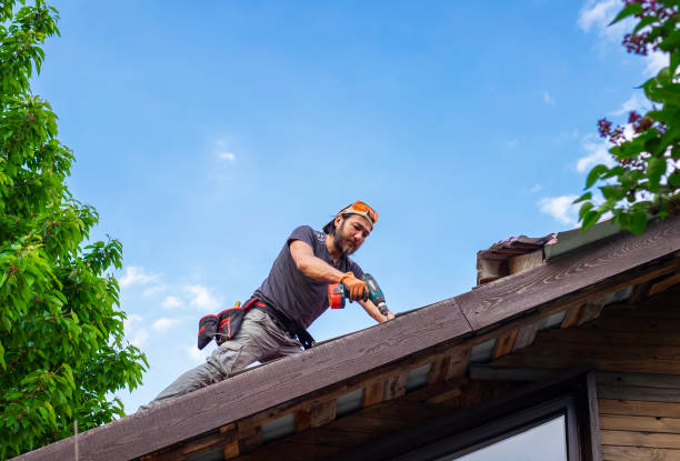 Best Solar Panel Roofing Installation  in Montrose, MI