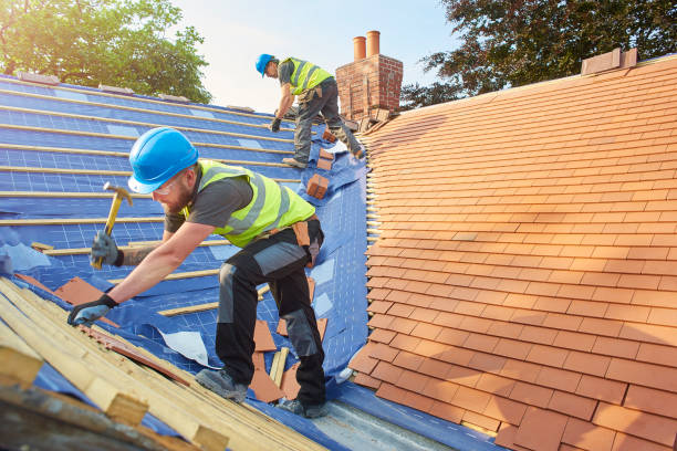 Best Skylight Installation and Repair  in Montrose, MI