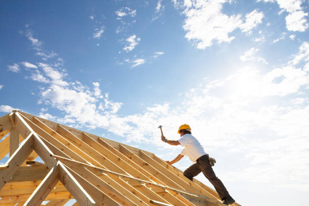 Best Roof Maintenance and Cleaning  in Montrose, MI